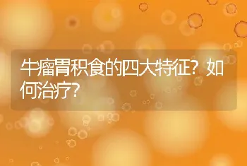 牛瘤胃积食的四大特征？如何治疗？