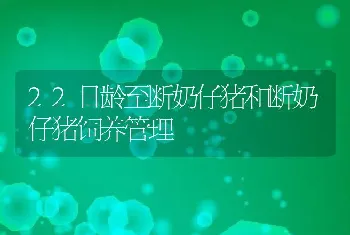 22日龄至断奶仔猪和断奶仔猪饲养管理