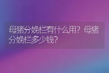 母猪分娩栏有什么用？母猪分娩栏多少钱？