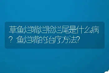 草鱼烂嘴烂脸烂尾是什么病？鱼烂嘴的治疗方法？