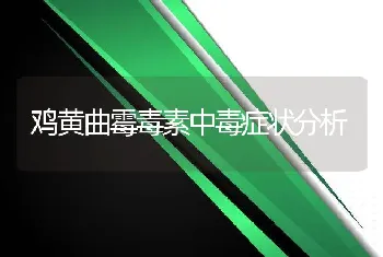 鸡黄曲霉毒素中毒症状分析