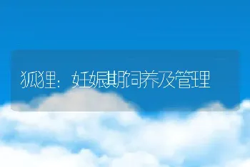 春季家兔多发病防治的方法