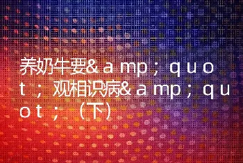 养奶牛要&quot;观相识病&quot;（下）