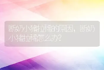 断奶小猪拉稀的原因，断奶小猪拉稀怎么办?