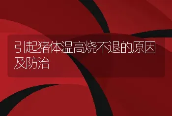 引起猪体温高烧不退的原因及防治