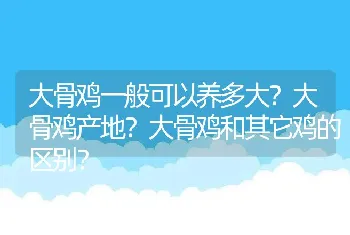 大骨鸡一般可以养多大？大骨鸡产地？大骨鸡和其它鸡的区别？