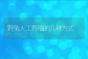 野兔人工养殖的几种方式