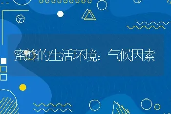 蜜蜂的生活环境：气候因素