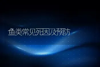 鱼类常见死因及预防