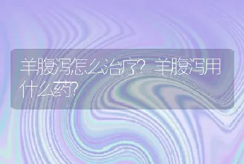 羊腹泻怎么治疗？羊腹泻用什么药？