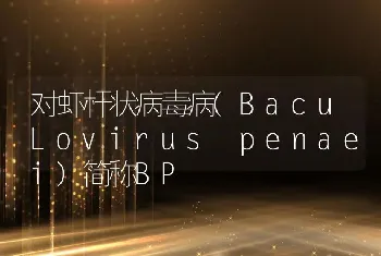 对虾杆状病毒病(BacuLovirus penaei)简称BP