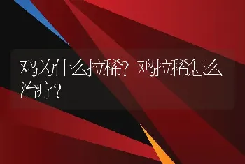 鸡为什么拉稀？鸡拉稀怎么治疗？