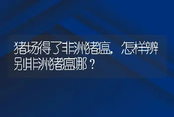 猪场得了非洲猪瘟，怎样辨别非洲猪瘟哪？