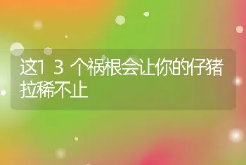 这13个祸根会让你的仔猪拉稀不止