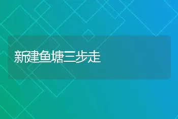 新建鱼塘三步走