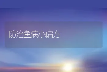 防治鱼病小偏方