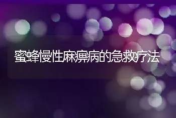 蜜蜂慢性麻痹病的急救疗法