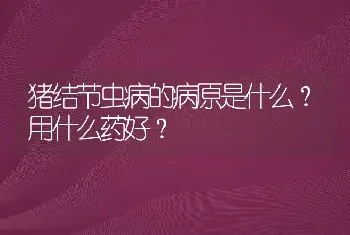 猪结节虫病的病原是什么？用什么药好？