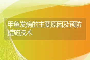 甲鱼发病的主要原因及预防措施技术