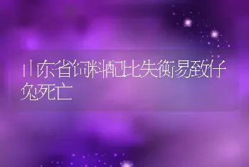 山东省饲料配比失衡易致仔兔死亡