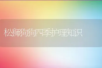 松狮狗狗四季护理知识