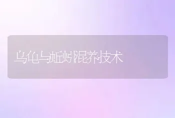 乌龟与蚯蚓混养技术