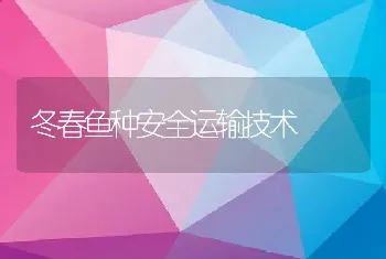 冬春鱼种安全运输技术