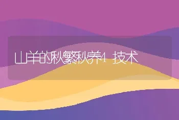 中华蜜蜂