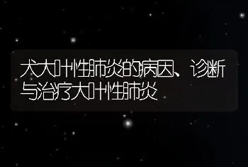 犬大叶性肺炎的病因、诊断与治疗大叶性肺炎