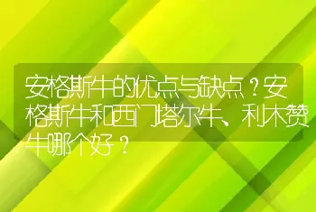 安格斯牛的优点与缺点？安格斯牛和西门塔尔牛、利木赞牛哪个好？