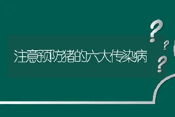 注意预防猪的六大传染病