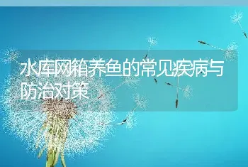 水库网箱养鱼的常见疾病与防治对策