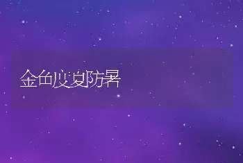 金鱼度夏防暑