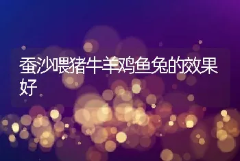 网箱养鱼细菌性鱼病的治疗方法