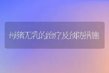 母猪无乳的治疗及预防措施