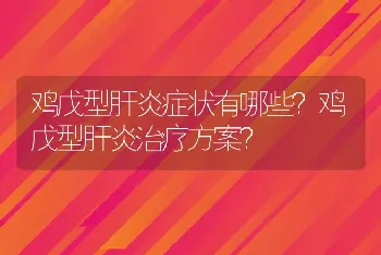 鸡戊型肝炎症状有哪些？鸡戊型肝炎治疗方案？