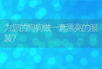 为您的狗狗做一套漂亮的服装？