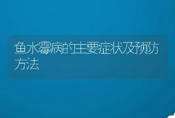 鱼水霉病的主要症状及预防方法