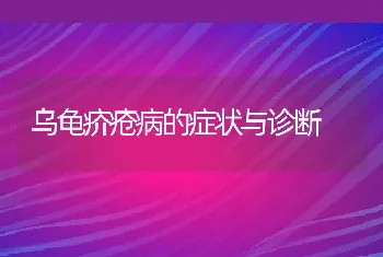 乌龟疥疮病的症状与诊断