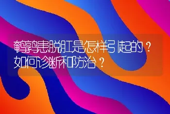 鹌鹑患脱肛是怎样引起的？如何诊断和防治？