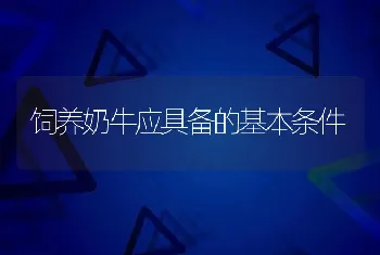 饲养奶牛应具备的基本条件