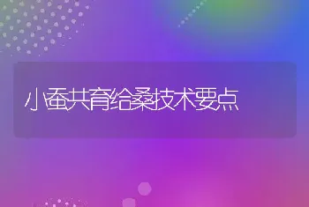 小蚕共育给桑技术要点