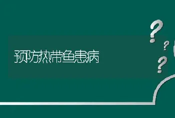 预防热带鱼患病