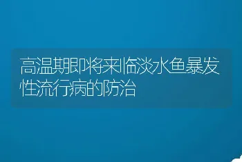 高温期即将来临淡水鱼暴发性流行病的防治