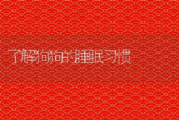 了解狗狗的睡眠习惯