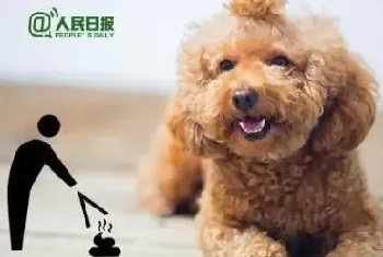 出台养狗规定，助力文明养犬