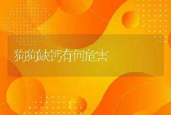 网箱养罗非鱼举例