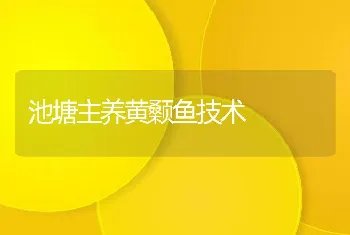 池塘主养黄颡鱼技术