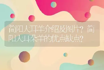 简阳大耳羊介绍及图片？简阳大耳朵羊的优点缺点？