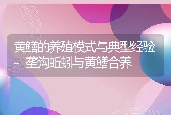 黄鳝的养殖模式与典型经验-垄沟蚯蚓与黄鳝合养